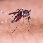 BAHIA REDUZ CASOS DE DENGUE PELA METADE EM 2025, APONTA MINISTÉRIO DA SAÚDE