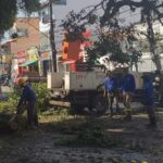 Prefeitura de Ilhéus realiza serviços de limpeza e manutenção em escolas e bairros da cidade