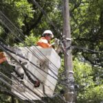 COELBA DESMONTA 160 MIL GATOS E RECUPERA ENERGIA PARA ABASTECER 4 MILHÕES DE RESIDÊNCIAS