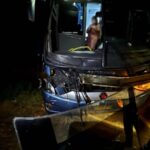 ANIMAIS NA PISTA CAUSAM SEGUNDO ACIDENTE EM MENOS DE UMA SEMANA NA BR-330, EM IPIAÚ