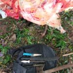 VIGILÂNCIA SANITÁRIA DE ITABUNA VAI INCINERAR 150 KG DE CARNE BOVINA APREENDIDA EM ABATE CLANDESTINO