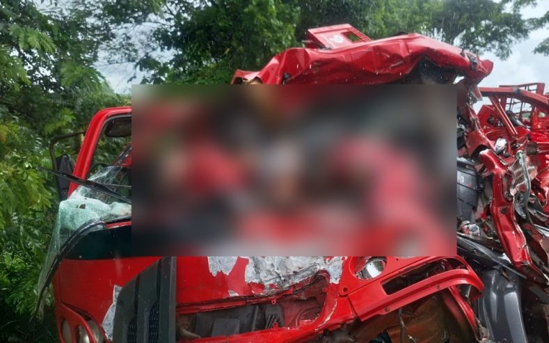 COLISÃO ENTRE CAMINHÕES NA BR-415 DEIXA TRÊS MORTOS