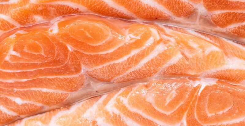 INÉDITO: CIENTISTAS ENCONTRAM ANIMAL QUE NÃO PRECISA DE OXIGÊNIO PARA SOBREVIVER