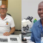 Ilhéus receberá projeto inovador no combate ao mosquito da dengue