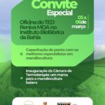 EMBRAPA REALIZA EM ILHÉUS CAPACITAÇÃO PARA PRODUÇÃO DE MUDAS DE MANDIOCA COM QUALIDADE GENÉTICA