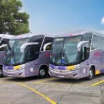EMPRESA DE ÔNIBUS REBATE ACUSAÇÕES APÓS ACIDENTE EM ITAMBÉ E APRESENTA VERSÃO SOBRE EMBARQUE DE CRIA...